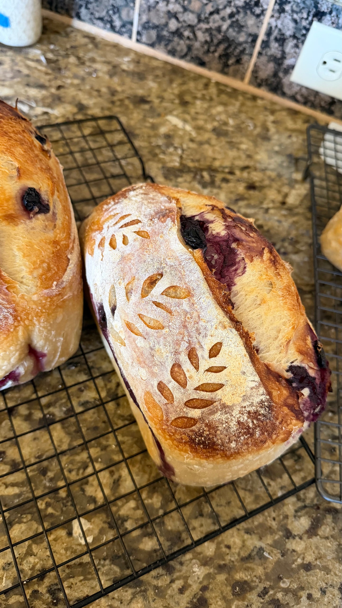 Blueberry Sourdough - 06/13 PICKUP ONLY