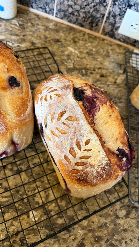 Blueberry Sourdough - 06/13 PICKUP ONLY