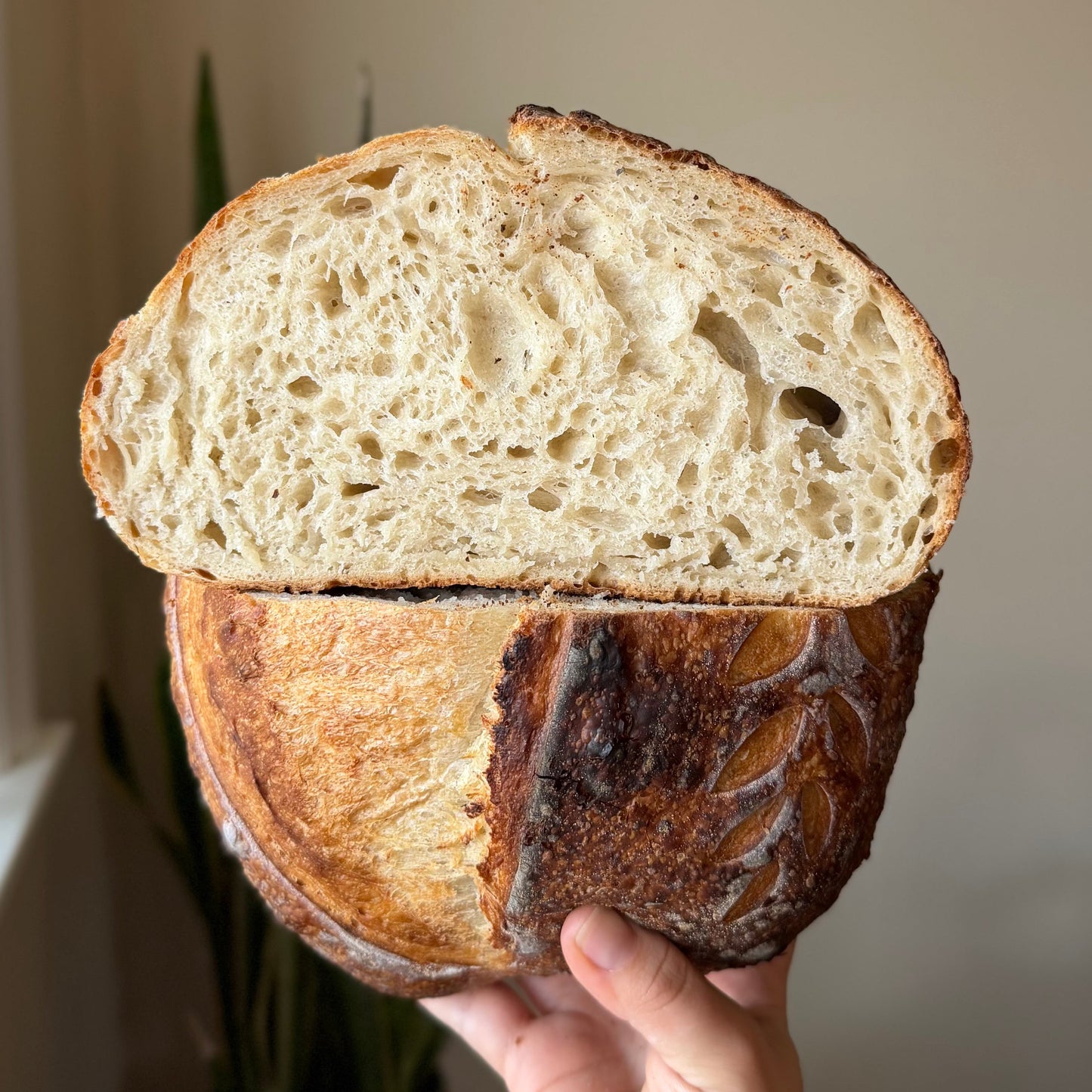Classic Sourdough - 06/13 PICKUP ONLY